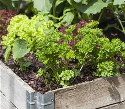 Das DIY-Hochbeet: nützlich, modern und super praktisch Das DIY-Hochbeet: nützlich, modern und super praktisch